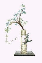 Fuji &amp; Tsubaki (Wisteria and Camellia) in a two story Bamboo Vase by Josiah Cond - £17.25 GBP+