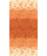 Serendipity Color Wheel - Ombre Stripe - Orange Sherbet # - $12.98