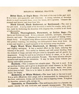 1893 Botanical Medical Practice Pages Section From Cottage Physician DWQ8 - $19.99