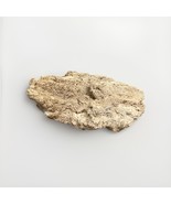 Dried All Natural Coral Fossil For Fish Tank - 14”x12x5.25” - $24.74
