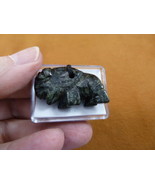 ann-buf-12 green black gemstone BUFFALO carving PENDANT necklace bison calf - $224.38 MXN