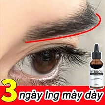 Eyebrow Growth Essence Oils Eyelash Regeneration Essential Oil for Women Men Uni - $19.01