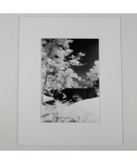 White Mat Photo Landscape Park Infrared Photography Bridge Trees Art Print - €16,64 EUR