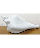 Decorative Crate and Barrel Large White Ceramic Ribbed Conch Shell  - $2,039.08 MXN