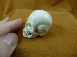 (Skull-w44) medium detailed human Skull figurine Bali antler cranium head - £46.57 GBP