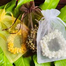 da Hawaiian Store Mongo Shell Stretch Bracelet (Choose color) - $12.99