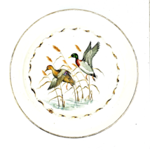 Georgian China Ltd Canada Ducks Decorative Plate Wildlife - £15.64 GBP
