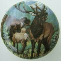 Ceramic Cabinet Knobs Elk Caribou #4 wildlife deer - £3.57 GBP