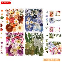 Dried Flowers and Leaves for Resin Jewelry Crafts and Decorative Project... - $26.68