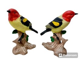 Western Tanager Birds Vintage Set Of 2 Porcelain Bisque Hand Painted Figurines - £17.14 GBP