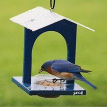 Lot 4 Bluebird Feeders New Bluebird Joint Treat Feeder Hanging - $59.25