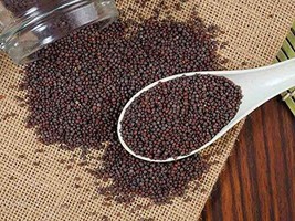 Indian Premium Brown Mustard Seeds, Small Sarso, Rai 100-1000gms FREE SHIP - £8.46 GBP+