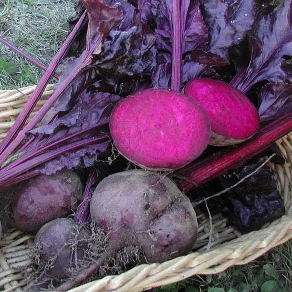 Beet 35 Seeds Collection, NON-GMO, 10 Varieties to Choose From - £7.02 GBP