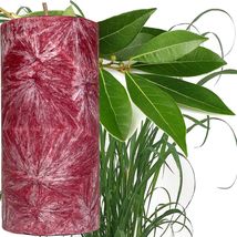 Eucalyptus &amp; Citronella Scented Palm Wax Pillar Candle - £20.29 GBP+