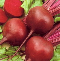 500 Early Wonder Beet Seeds Heirloom Non-Gmo Always Seeds Fresh Garden USA SELLE - £11.38 GBP