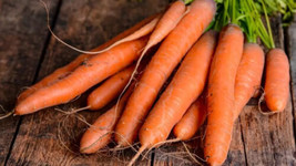 THJAR Carrot 200 Fresh Seeds Bolero - USA Grown  Non Gmo - $4.50