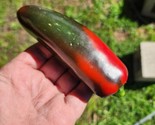 Mammoth Jalapeno Hot Pepper Seeds 50 Seeds Fresh  Heirloom Fast Shipping - $12.96