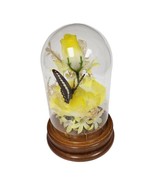 Vintage Taxidermy Butterfly Terrarium Music Box Glass Domed Yellow Roses - £19.57 GBP
