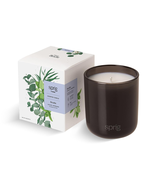 Sprig by Kohler Scented Aromatherapy Candle, Breathe (Eucalyptus &amp; Mint)... - $644.37 MXN