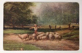 Changing Pastures 1904 R. Hill Artist PC Posted 1909 Sheep in Field Bein... - $4.00