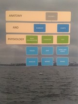 Anatomy and Physiology Vol 1 Summary Charts - $28.99