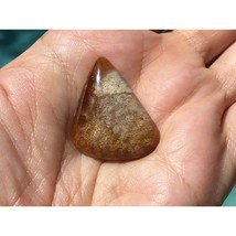 Petrified Fossil Coral Freeform Triangle 25x31mm Cabochon Gemstone for Jewelry - £18.09 GBP