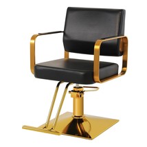 Salon Chairs For Hair Stylist Chair Hydraulic Pump Hair Salon Chair, Not Tilting - $249.43