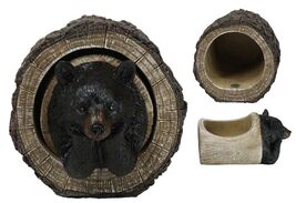 Daydreaming Black Bear in Tree Log Home Decorative Jewelry Trinket Box F... - $421.73 MXN