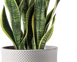 The 8-Inch Plant Pots Are Made Of Ceramic And Feature A Drainage Hole And - £46.89 GBP