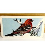 Vintage Songbird Trading Card Pine Grosbeak 1966 S9N39 Brooke Bond Tea Co - $19.99