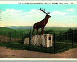Elk Overlooking Deerfield Valley Mohawk Trail Massachusetts MA WB Postca... - £2.29 GBP