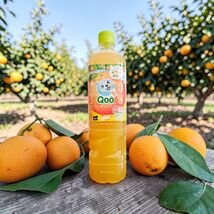 Coca Cola Minute Maid Japan Qoo Orange Juice Drink 950 ml - $6.88