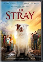 The Stray DVD True Story Family Movie Religious Christian Dove Approved New - £8.69 GBP