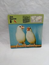 Item image 14