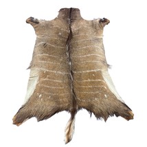 Male Nyala Skin - Deer Leather Rug -Deer skin for pillows, wallets, hand... - $6,454.80 MXN
