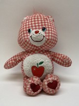 Care Bears 2006 SMART HEART BEAR 8&quot; Special Ed. Country Fun Series 15 - £30.93 GBP