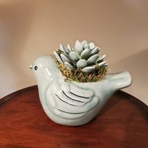 Bird Planter with Faux Succulent, Seafoam Green Pot with Artificial Fake Plant image 4