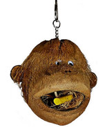 AE Cage Java Wood Company Coco Monkey Head For Birds - £26.11 GBP