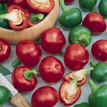 30 Red Cherry Hot Pepper Seeds Pimenta  - $4.13