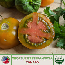 US Seller 10 Thorburn&#39;S Terra-Cotta Tomato Seeds, Organic, Open-Pollinat... - £7.97 GBP