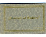 Souvenir of Madeira 12 Postcards in Booklet 1900&#39;s Perestretos Portugal  - £35.56 GBP