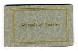 Souvenir of Madeira 12 Postcards in Booklet 1900&#39;s Perestretos Portugal  - £35.57 GBP