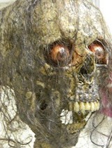 Halloween Horror Movie Prop Human Corpse Skull Head&quot; Krazy Kitty&quot; - £88.21 GBP