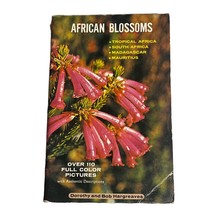 African Blossoms by Bob Hargreaves and Dorothy Hargreaves (1972, Trade... - £6.76 GBP