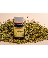 Blue Chamomile Oil (Pack of 2) - £144.00 GBP