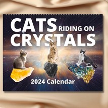 FUNNY CAT CALENDAR 2024 | Cats Riding on Crystals Gemstones | Magical Kitten Lov - £27.02 GBP