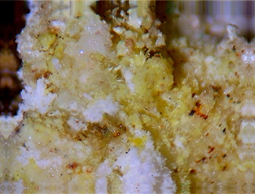RABBITTITE, BAYLEYITE - Hideout Mine, San Juan County, UTAH - $250.00