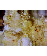 RABBITTITE, BAYLEYITE - Hideout Mine, San Juan County, UTAH - €215,01 EUR