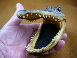 (G-Def-221) 5-1/8&quot; Deformed Gator ALLIGATOR Aligator HEAD teeth TAXIDERM... - $47.67