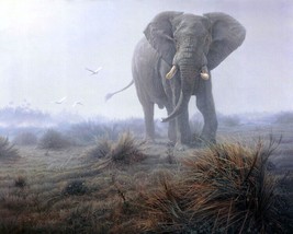 Art Giclee Printed Oil Painting Print Elephant foriving room - $8.59+